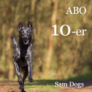 Sam Dogs - search and mantrailing - hundeschule
